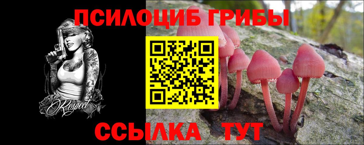 Псилоцибиновые грибы Psilocybe Армавир